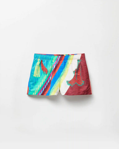 Printed Swim Shorts