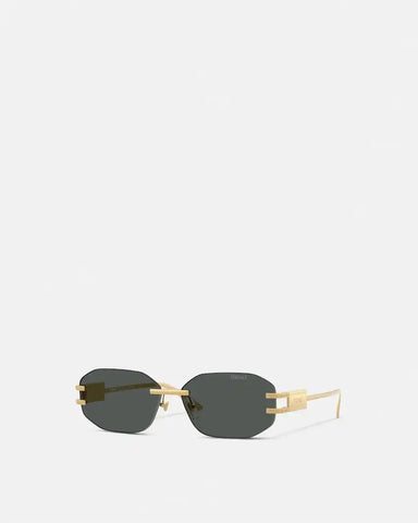 Damier Plaque Sunglasses